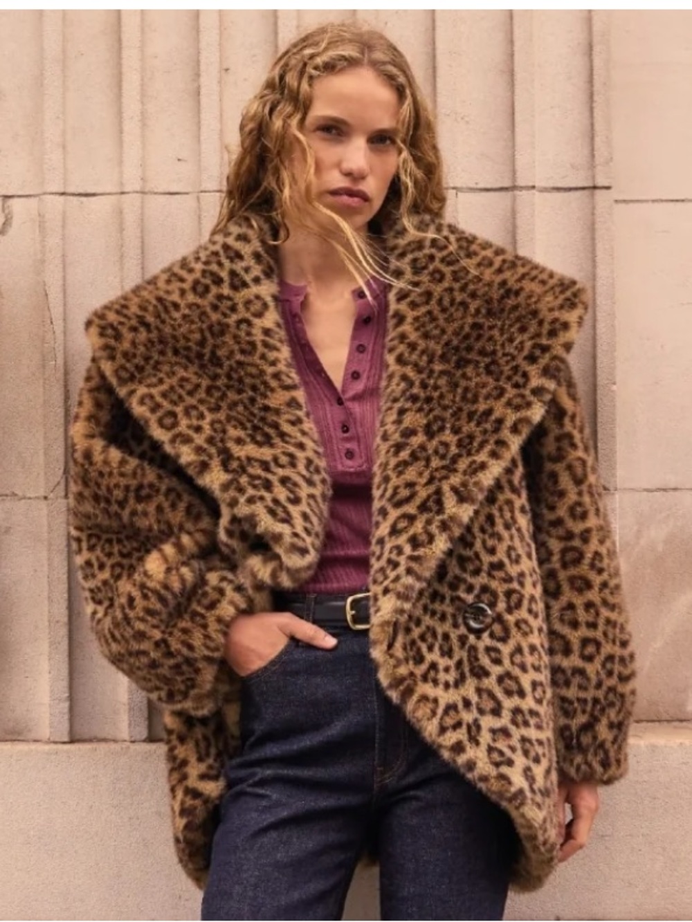 Leopard Print Faux-Fur Teddy Jacket - Brown